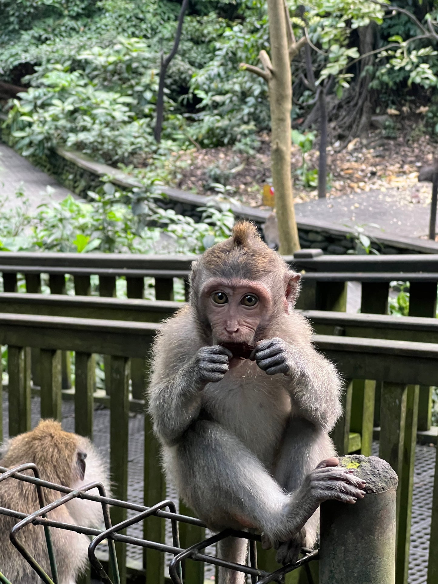 Bali and the Gili Island| JUNE 9 DAYS-8 NIGHTS