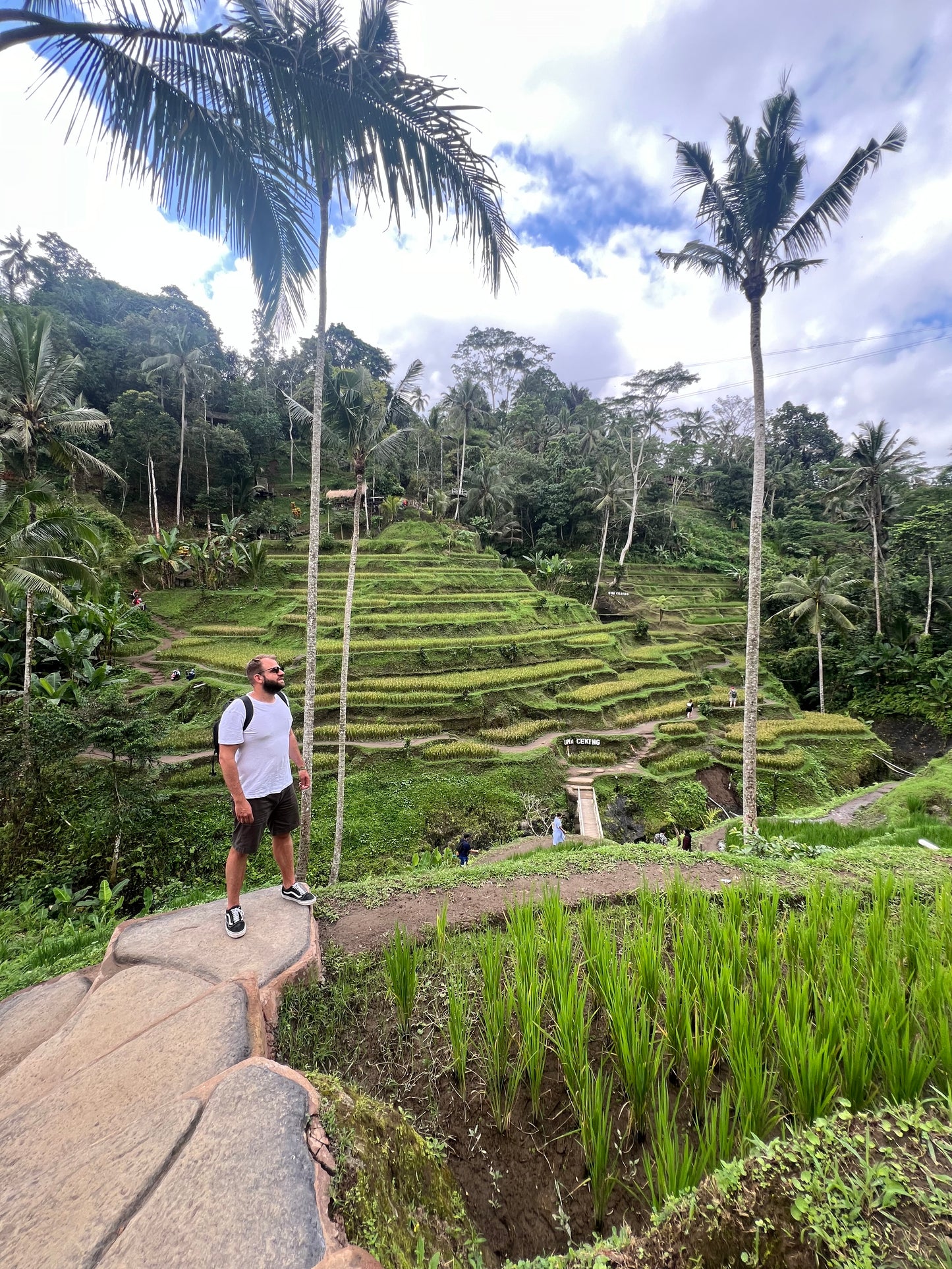 Bali and the Gili Island| JUNE 9 DAYS-8 NIGHTS